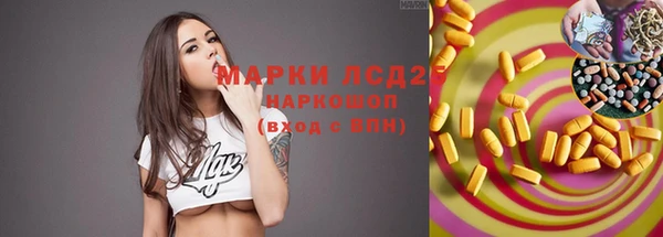 винт Верея