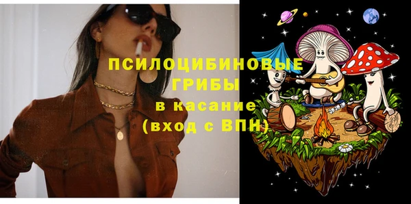 винт Верея