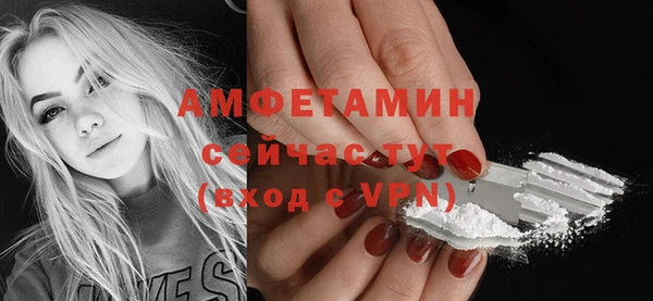 винт Верея